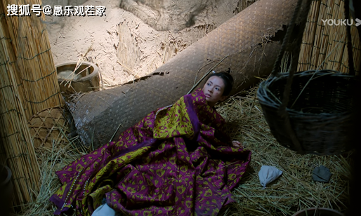《上阳赋》开播5天后口碑反转，是水军作祟还是