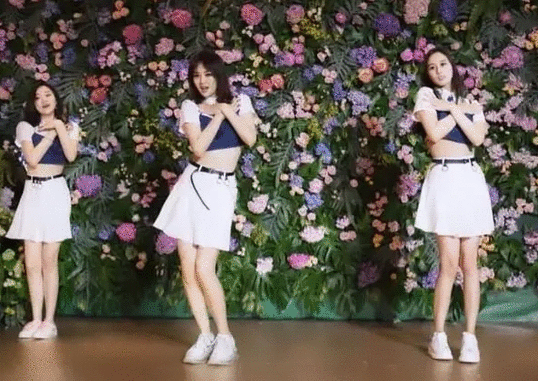 生日当天宣布出道，姚安娜不止是华为二公主，